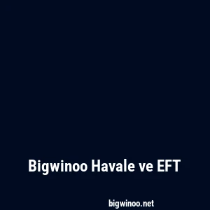 Bigwinoo Havale ve EFT