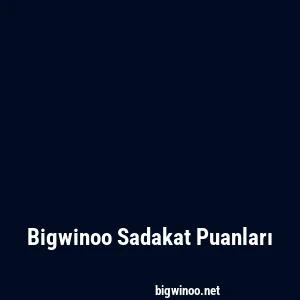 Bigwinoo Sadakat Puanları